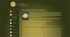 Desktop Screenshot of csaprocess.com